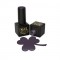 13403 Botswana 10 ml