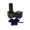 12602 South Africa 10 ml